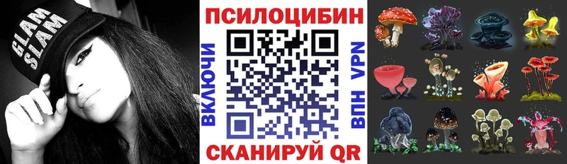 купить  сайты  Калач-на-Дону  Галлюциногенные грибы Cubensis 