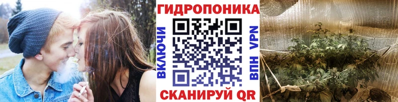 сколько стоит  Калач-на-Дону  Марихуана тримм 